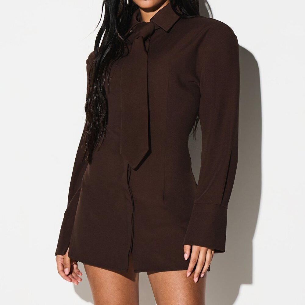 Brown Elegant Women's Long Sleeve Collared Tie Waist Mini Dress